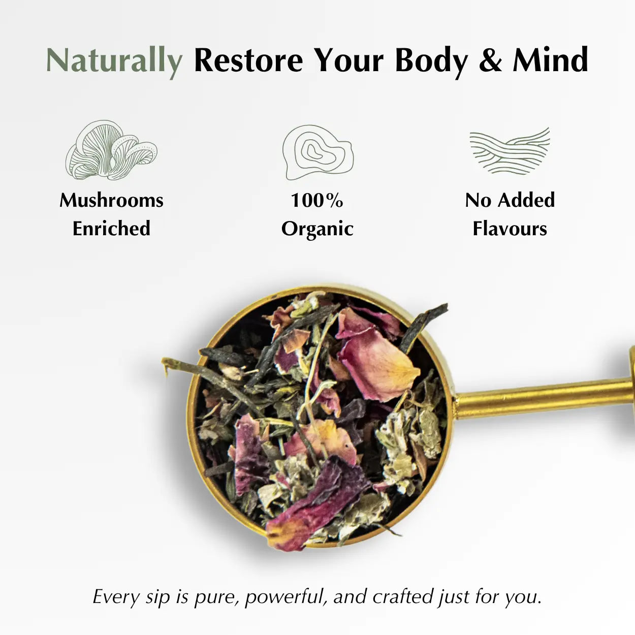 Organic sleep tea blend with mushroom adaptogens — naturally restore your body and mind, no added flavours