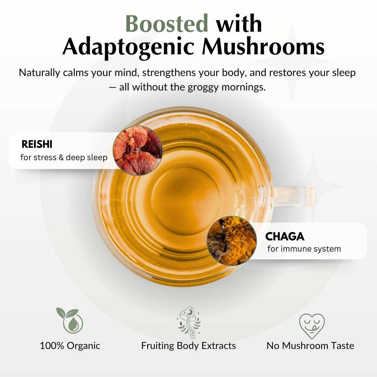 Sleep tea boosted with adaptogenic mushrooms — reishi for deep sleep and chaga for immune support