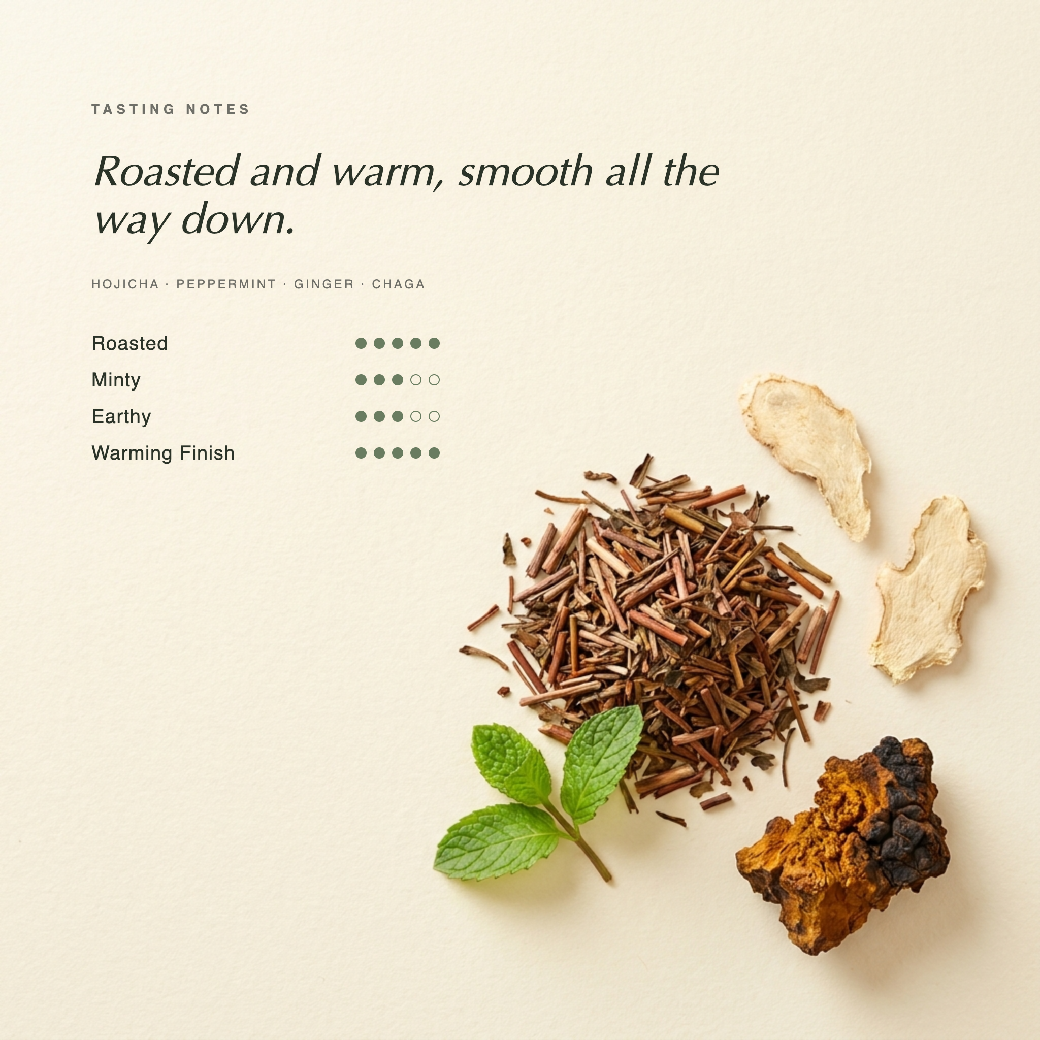 Hojicha Haven tasting notes — roasted and warm Japanese hojicha, smooth all the way down. Botanical specimen on cream paper.
