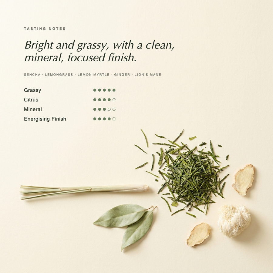 Sencha Garden tasting notes — bright and grassy Japanese sencha with a clean, mineral, focused finish. Botanical specimen on cream paper.