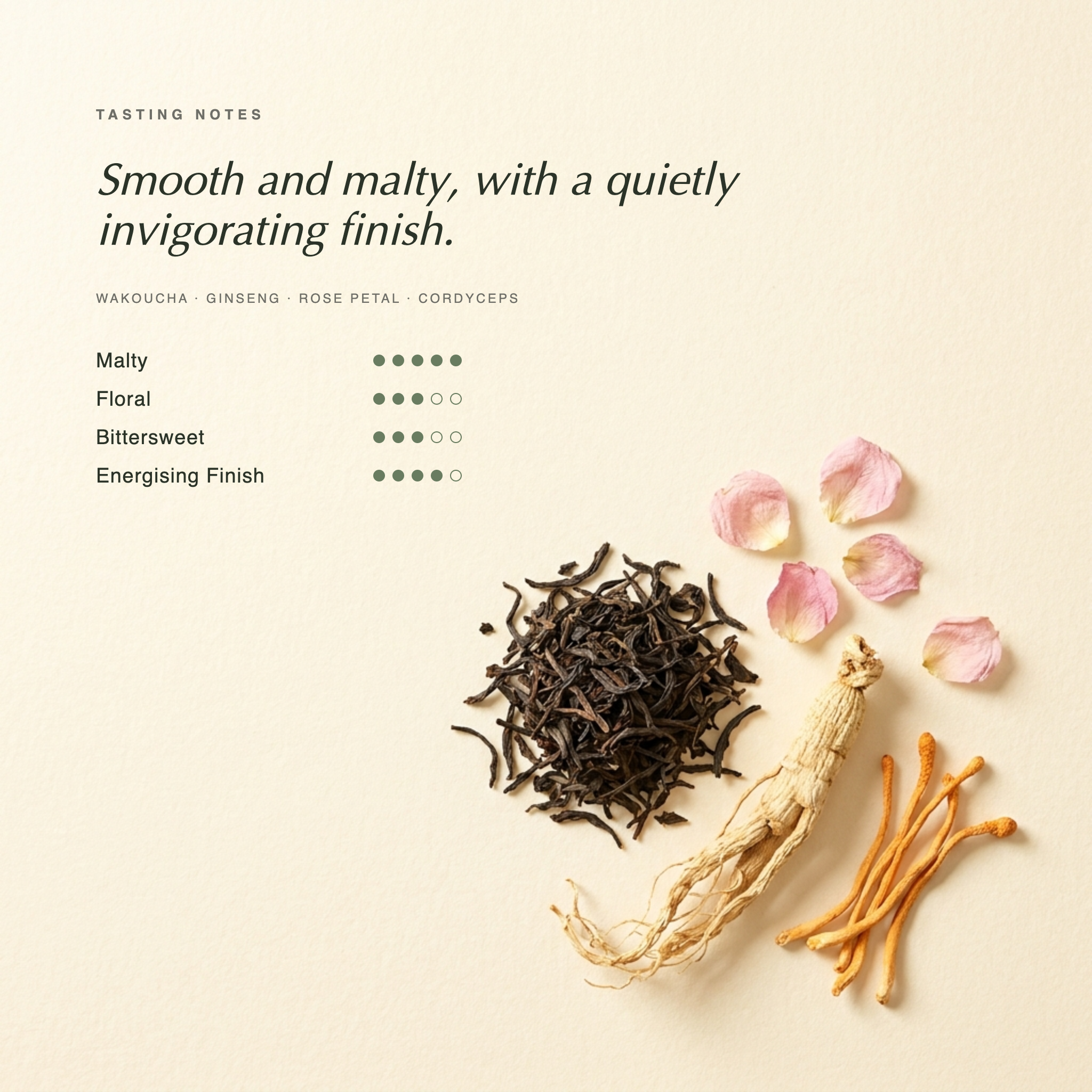Wakoucha Grace tasting notes — smooth and malty Japanese wakoucha black tea with a quietly invigorating finish. Botanical specimen on cream paper.