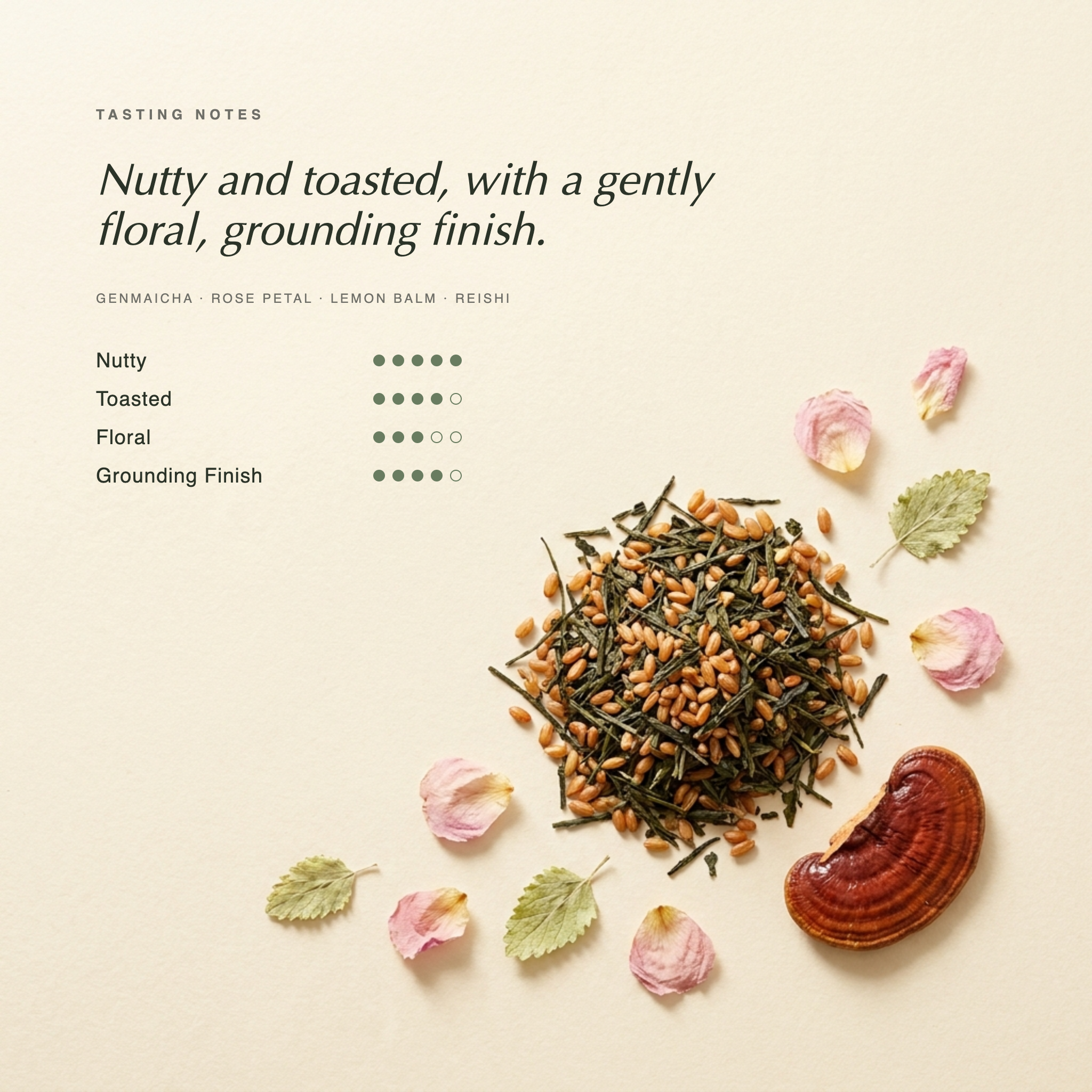 Genmaicha Rise tasting notes — nutty and toasted Japanese genmaicha with a gently floral, grounding finish. Botanical specimen on cream paper.