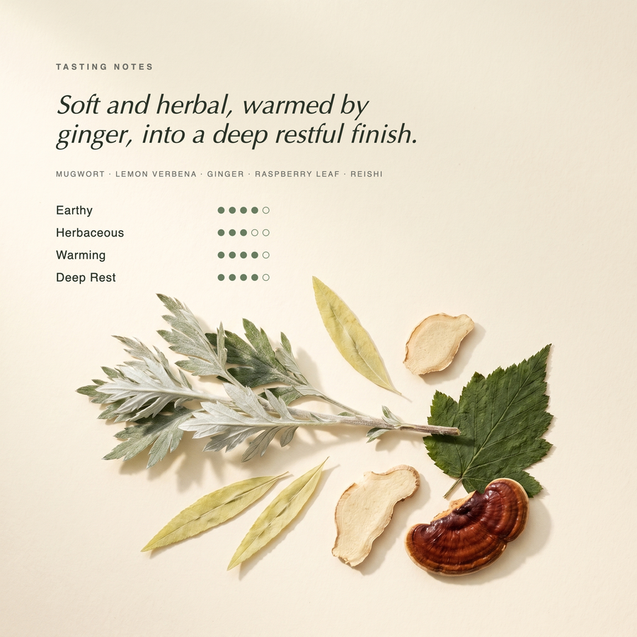Yomogi Dream tasting notes — soft and herbal Japanese mugwort tea, warmed by ginger, into a deep restful finish. Earthy, herbaceous, warming, deep rest. Botanical specimen on cream paper.